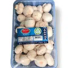 CHAMPIÑON